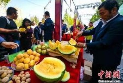 临县吃瓜事件最新爆料,揭秘背后惊人真相，网络舆论再掀波澜