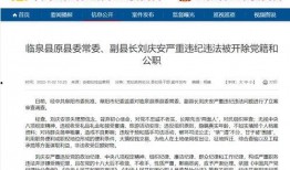 临泉最新爆料视频,一窥当地风云变幻