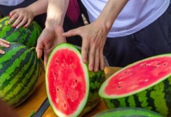 免费吃瓜教学,探索新型教育模式