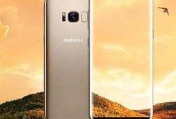 苹果s8最新爆料图片