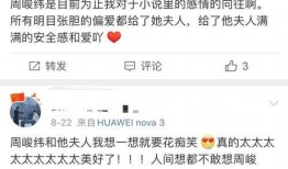 娱乐圈小说爆料人,揭秘明星真实人生